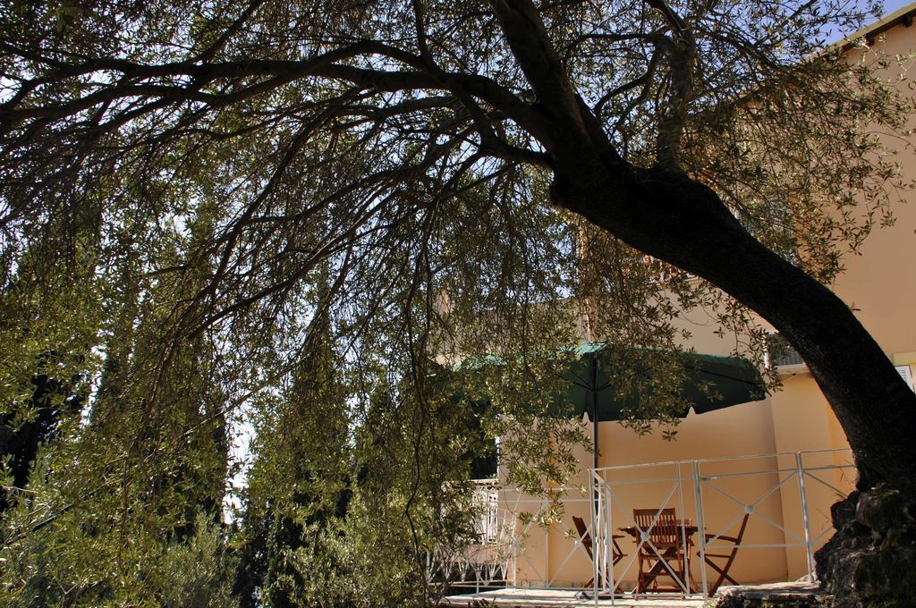 Stella'S Apartments Agios Gordios  Exterior foto